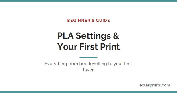 PLA print settings and your first print — beginner's guide | Eolas Prints