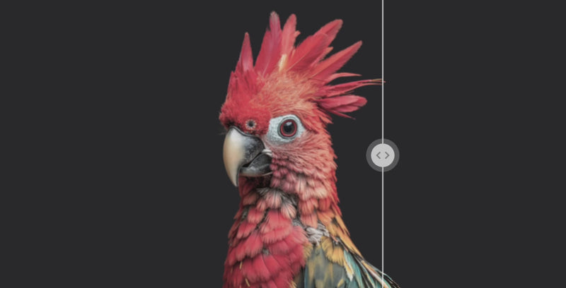 eufyMake E1 3D-texture UV printing demonstration